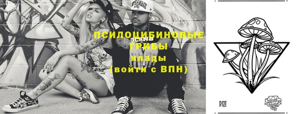 2c-b Абдулино