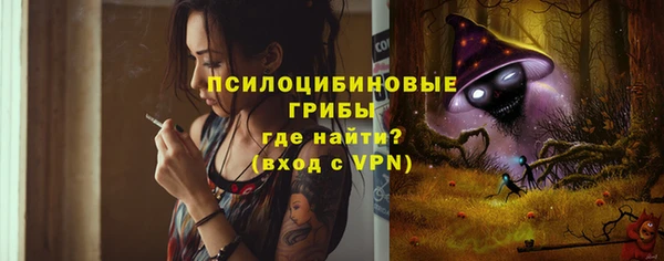 гашик Алексеевка