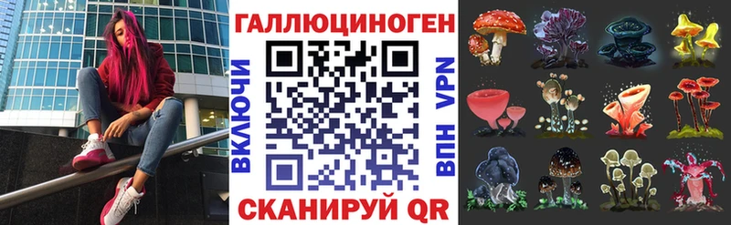Псилоцибиновые грибы Psilocybine cubensis  Нерчинск 